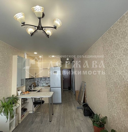 1-комнатная квартира, проспект В.В. Михайлова 3Бк2