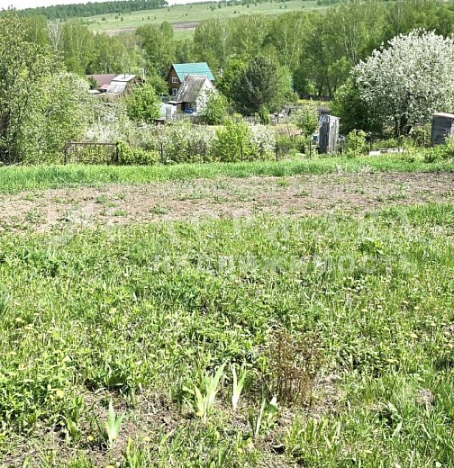 Земельный участок