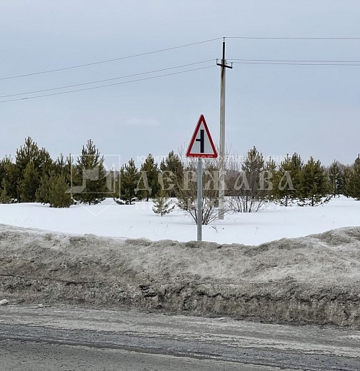 Коммерческий участок, 77