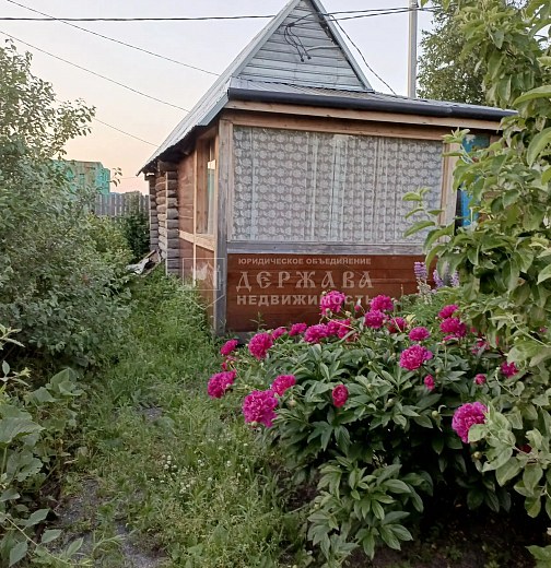 Дача