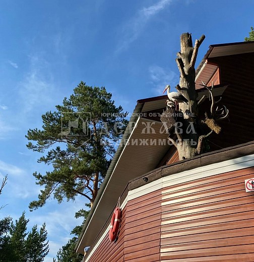 Помещение свободного назначения, 480 м2, Центральная улица 20