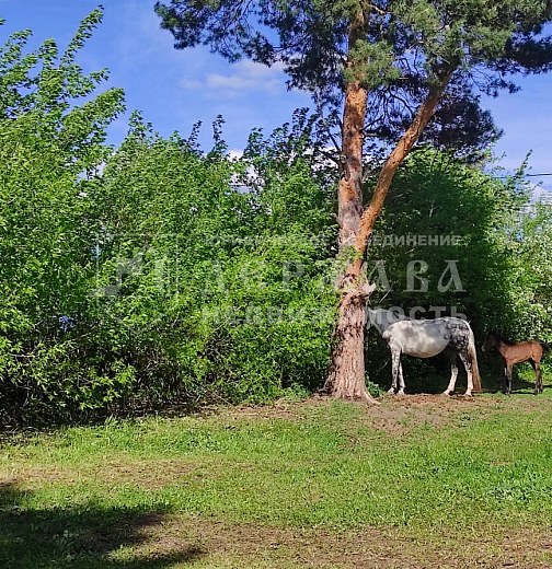 Земельный участок, Школьная улица 30/2