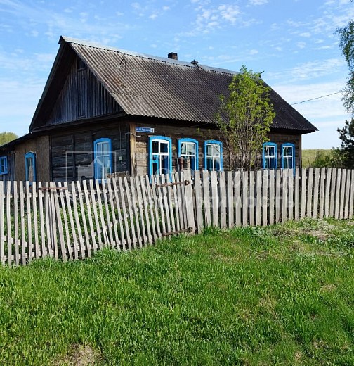 Дом, улица Максима Горького