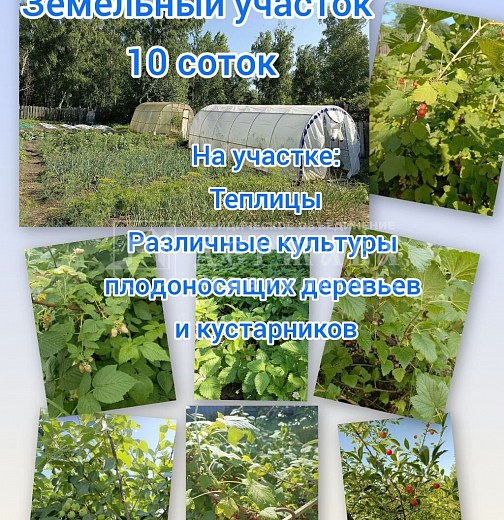 Дом, Весенняя улица