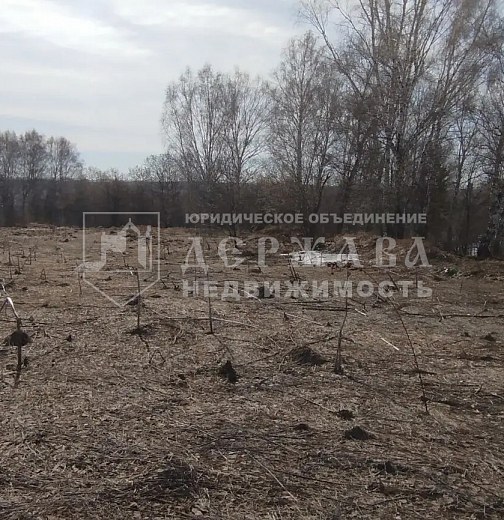 Земельный участок