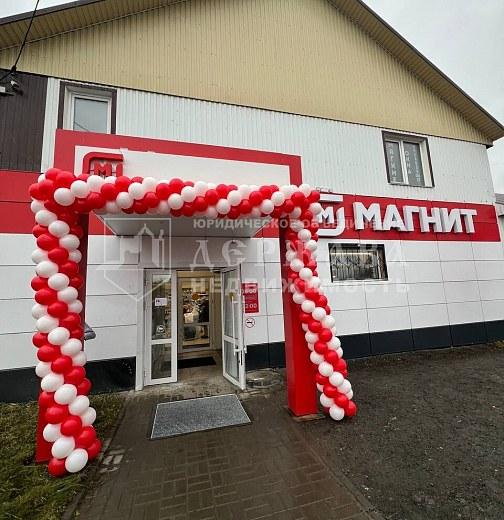 Коммерческая недвижимость, 555 м2, Парковая улица 12